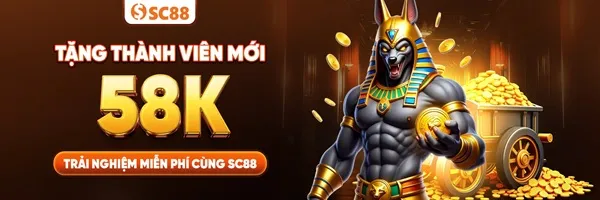 sc888 hoàn trả